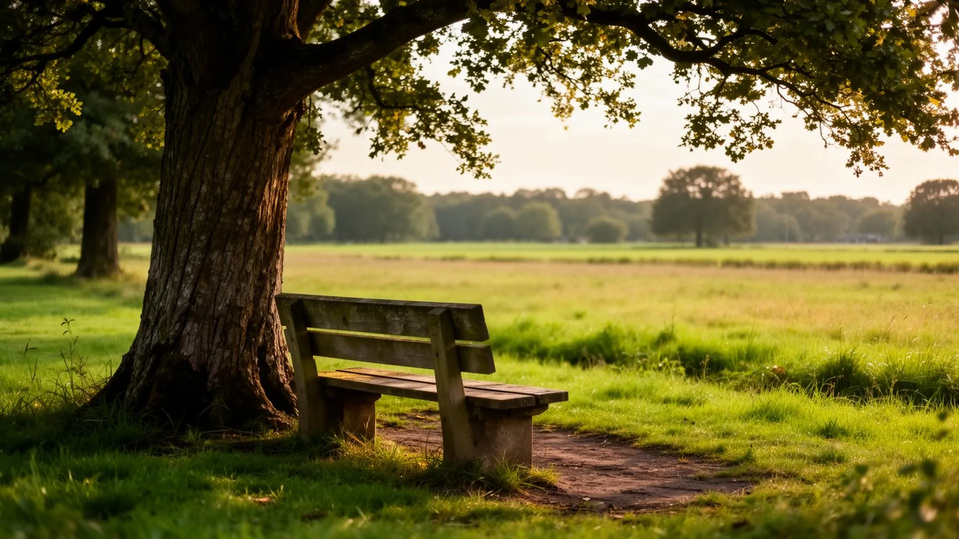 sfeer-park-bankje.jpg